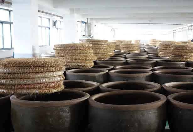 DSC01929 (1) DSC01929 (1)